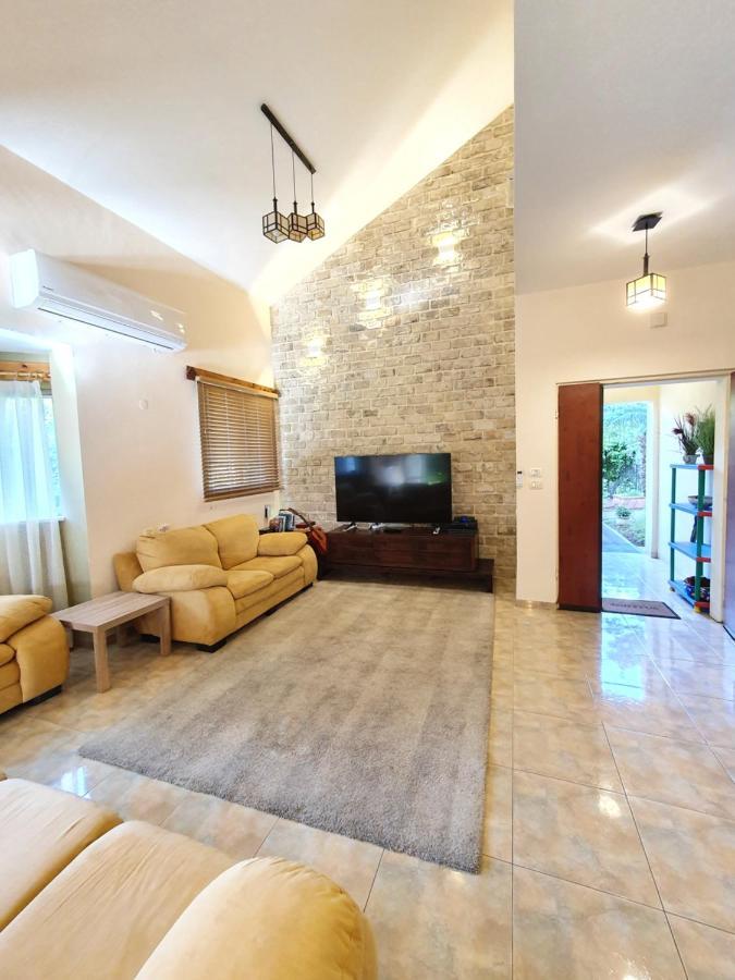 Huge & Private Villa In Kibbutz Dafna Kültér fotó