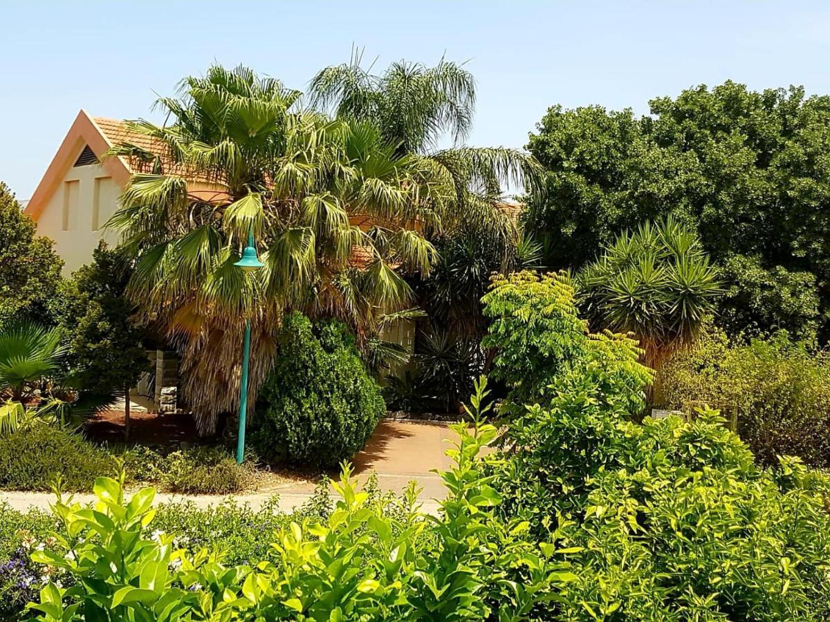 Huge & Private Villa In Kibbutz Dafna Kültér fotó